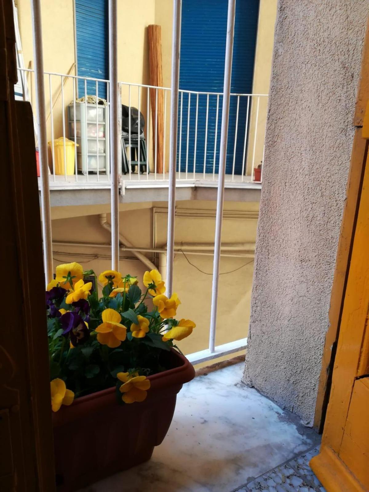 The Yellow House Катания Экстерьер фото